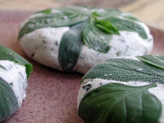 cheesemaking chevre image