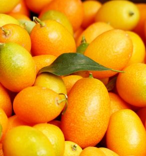 Organic Kumquats (3 pounds)